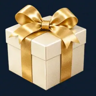 Wrapped gift box — Sydspin