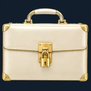 Locked leather briefcase — Sydspin