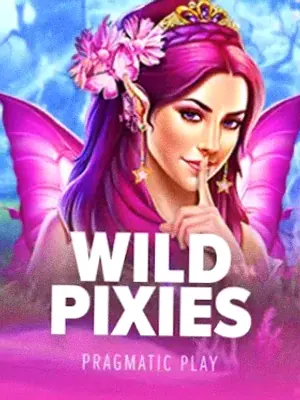 Wild Pixies at Sydspin