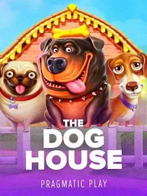 The Dog House at Sydspin
